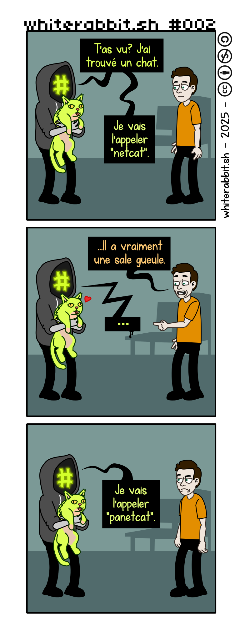 J'ai trouvé un chat, je vais l'appeler netcat